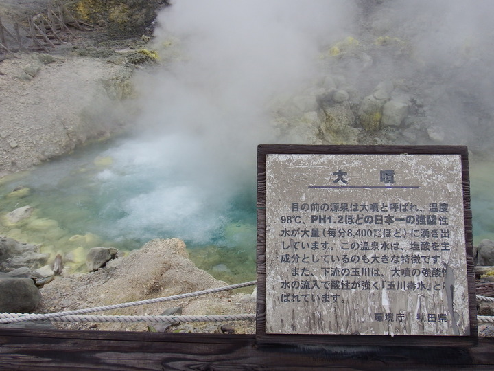 DSCF8803