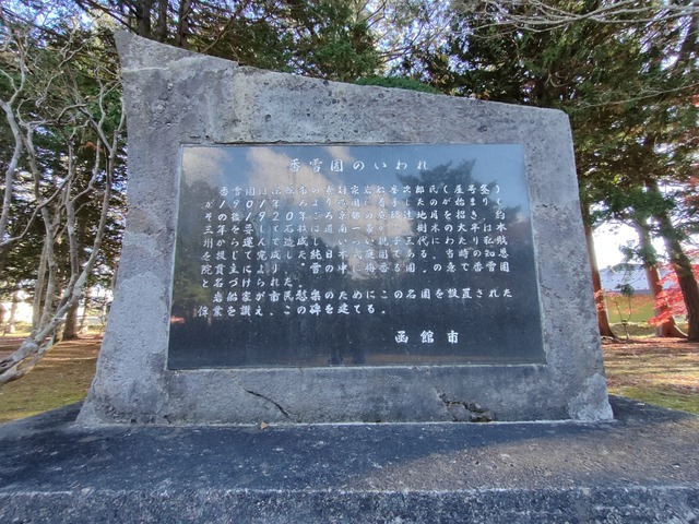 IMG20231115142907