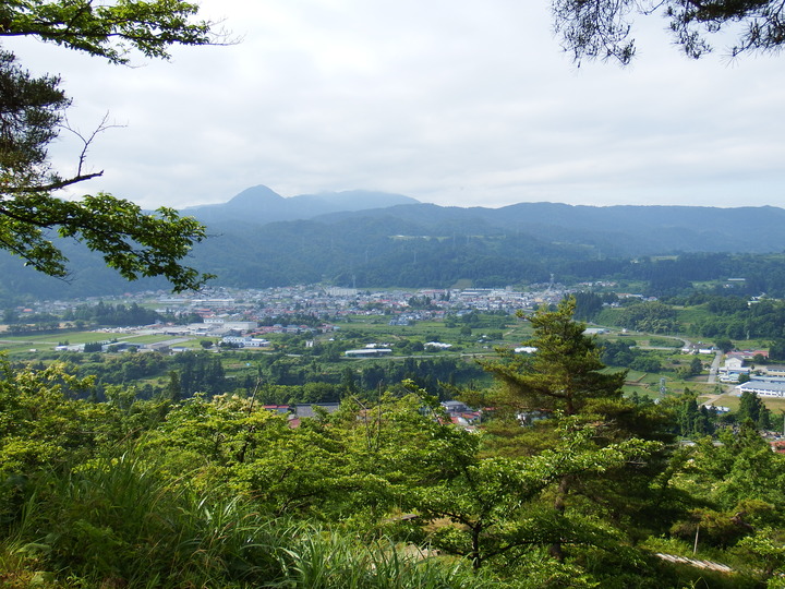 DSCF8687