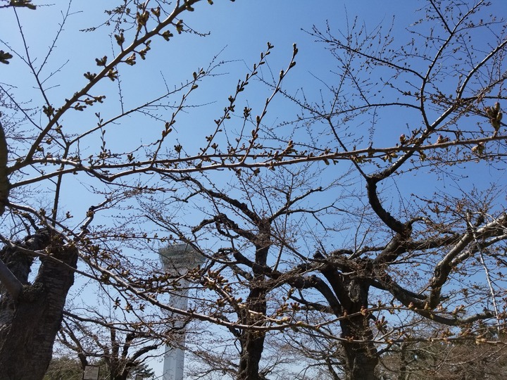 20190419_125812