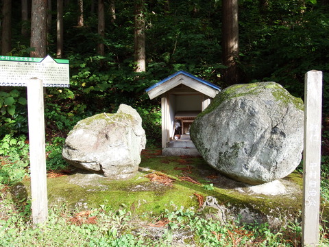 DSCF6542