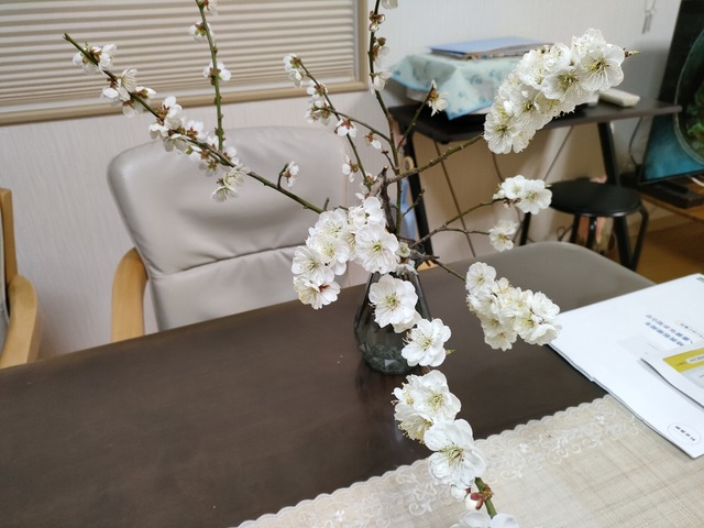 IMG20240416194031