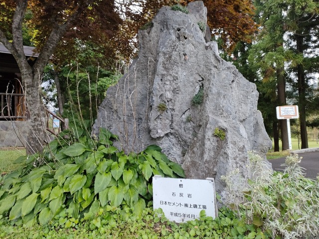 IMG20230927164940