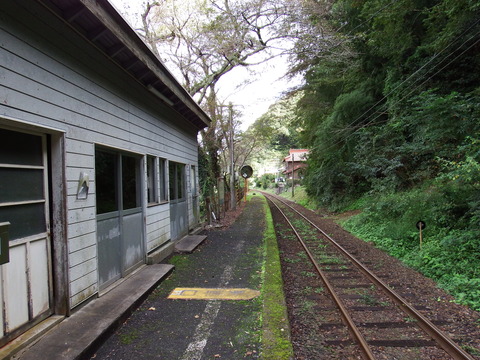 DSCF6702