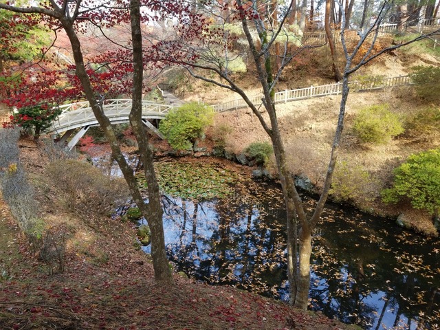 IMG_20201118_100751
