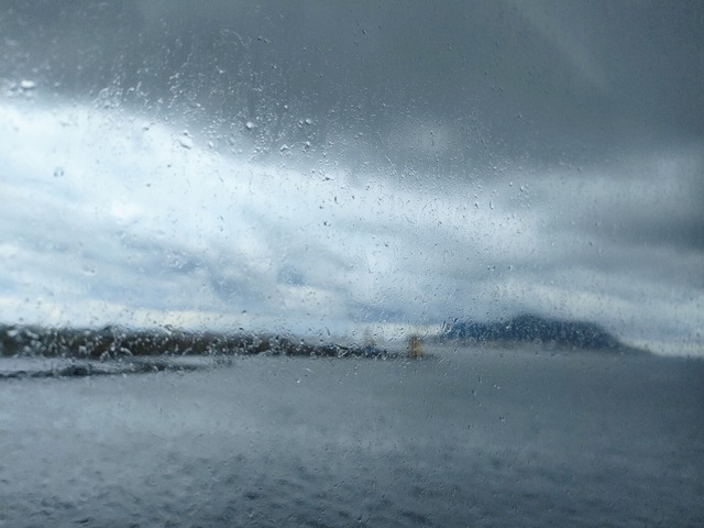 IMG20241002115357