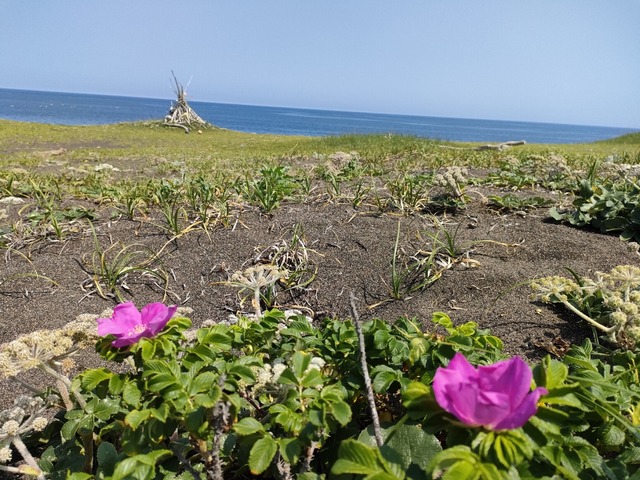 IMG20240711101804