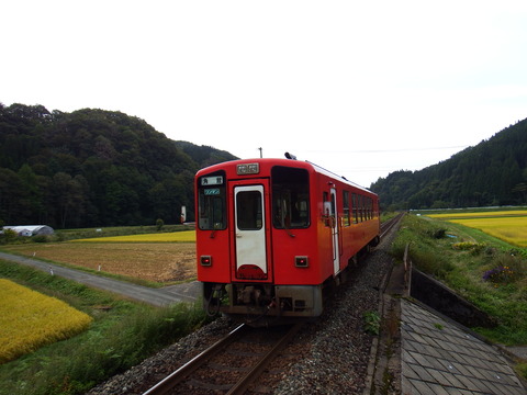 DSCF6554