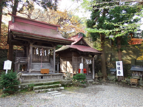 DSCF7564