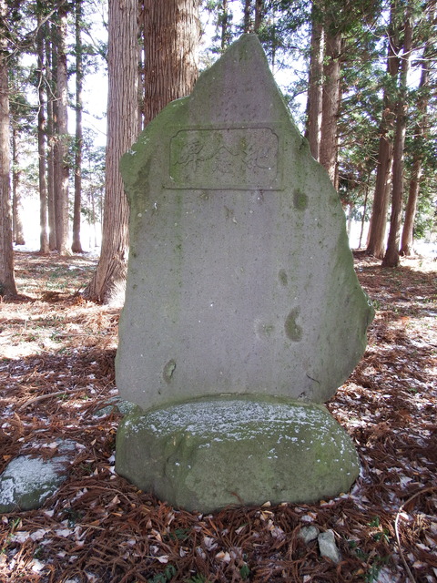 DSCF4029