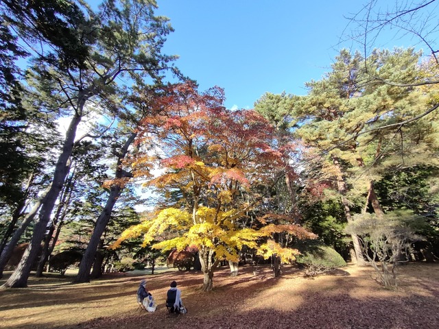 IMG20231115142524