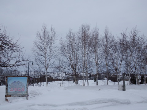 DSCF4315