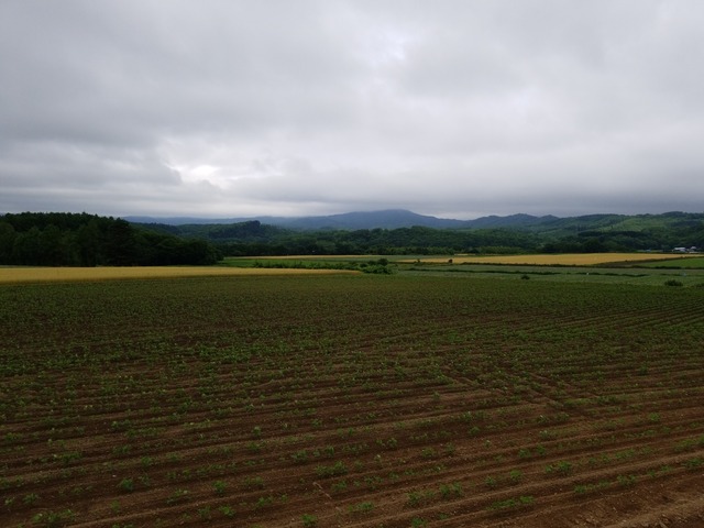 IMG_20210708_095551
