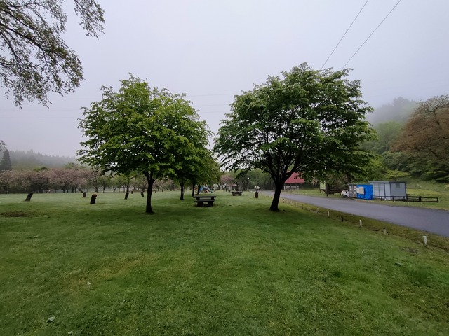 IMG20260525053520