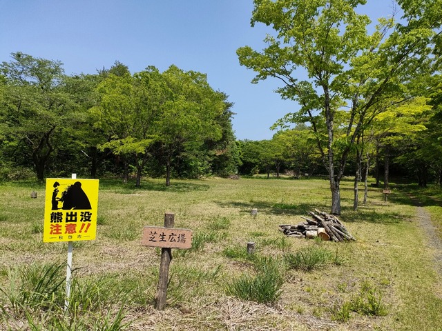 IMG20230517120745