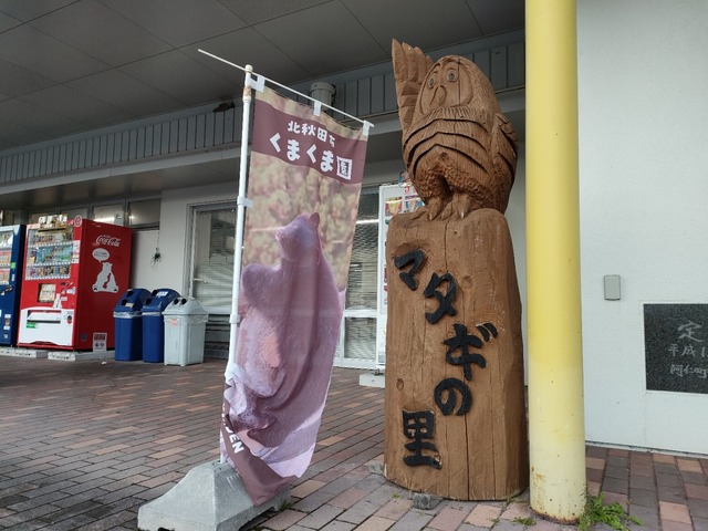 IMG20221015162538