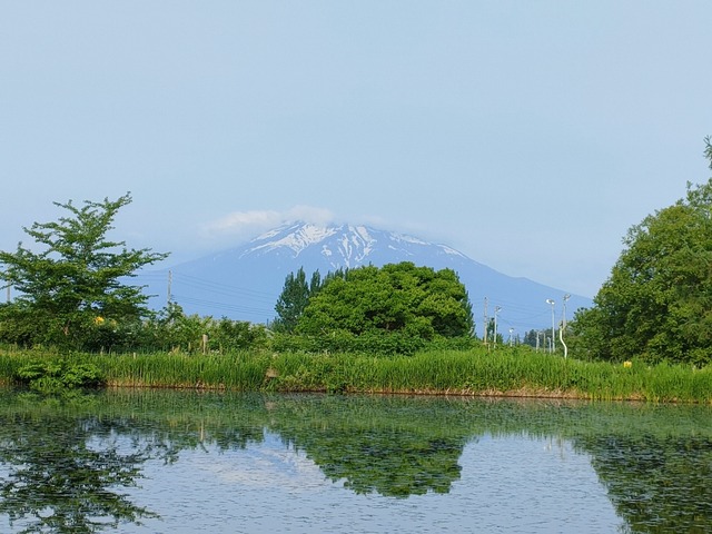 IMG20230527061638