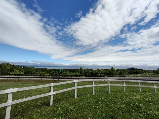 IMG20240708094951
