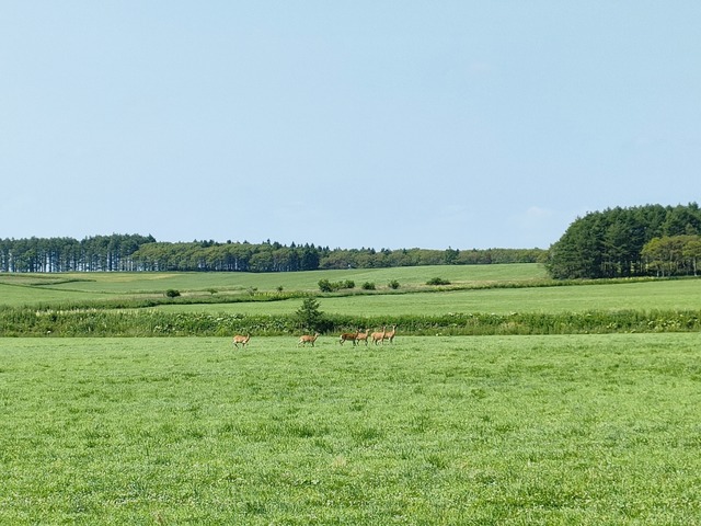 IMG20250712135417