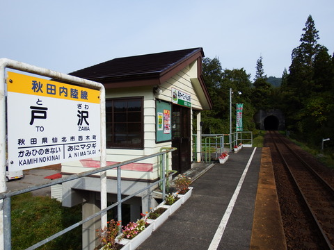 DSCF6546