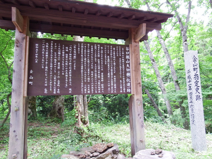 DSCF8740