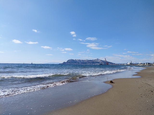 IMG20230305115330