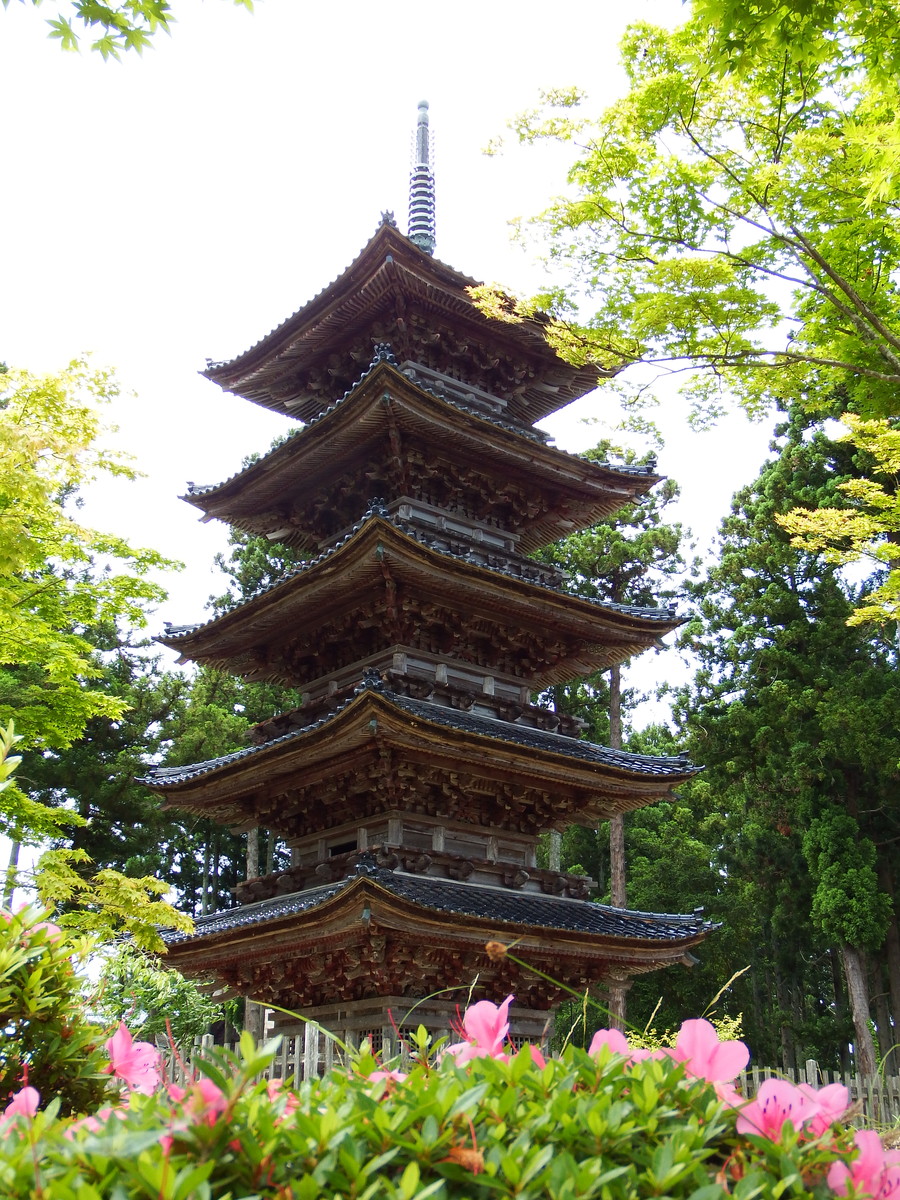 函館発　　ぼうけんの旅佐渡の旅　17　五重塔と日野資朝（すけとも）の墓がある妙宣寺コメント