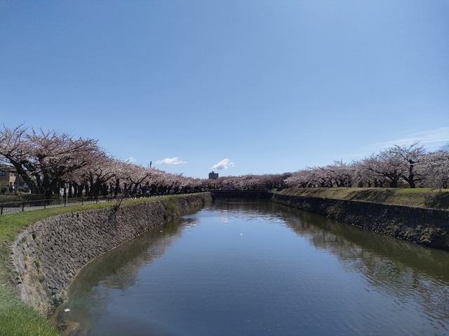 IMG20240422092501
