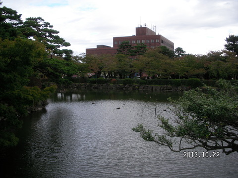 RIMG2649
