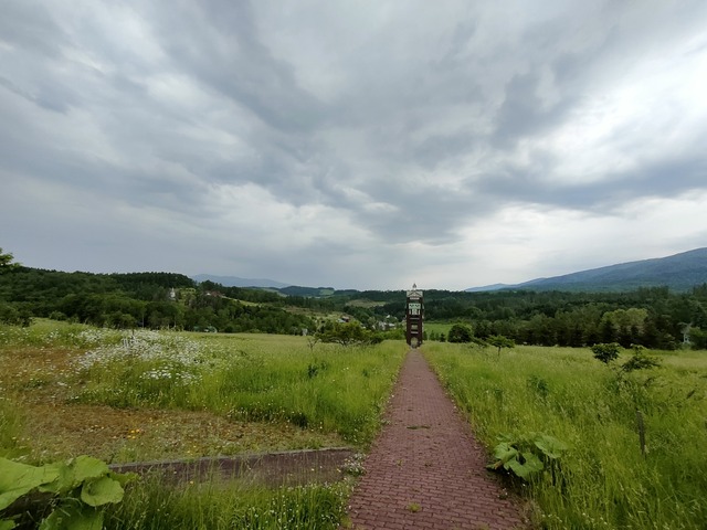 IMG20230617075620