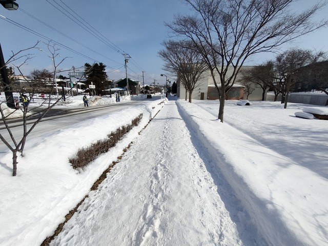 IMG20230205110207