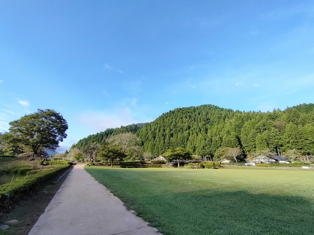 IMG20241010075907