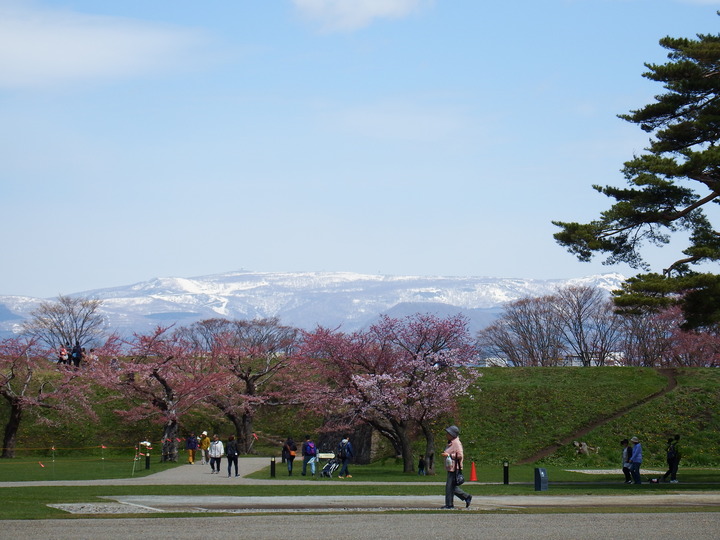 DSCF8020