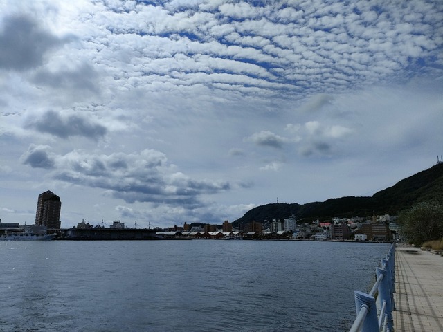 IMG20260829094153