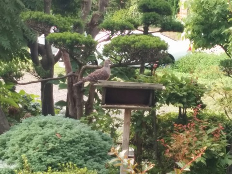 [画像:55d1d3db-s.jpg]