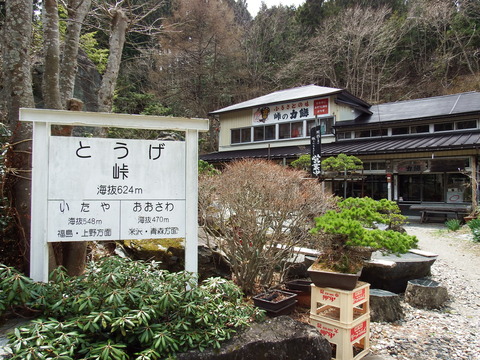 DSCF4901