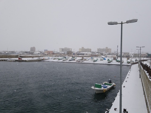 IMG_20201214_104232