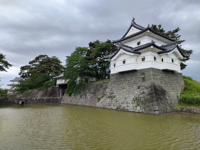 IMG20240517102412