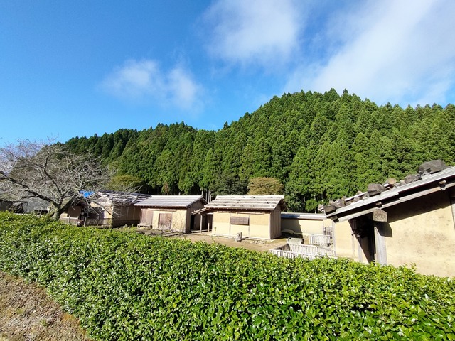 IMG20241010082311