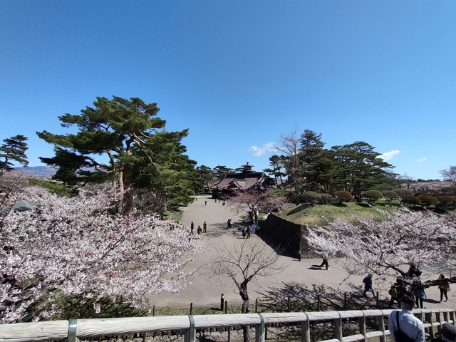 IMG20240422095428