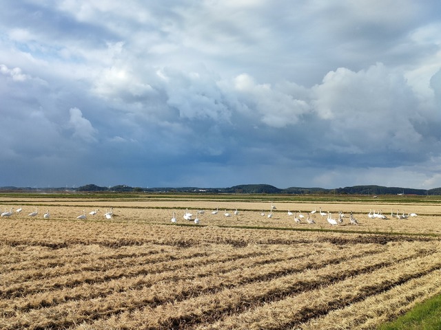 IMG20221018080535