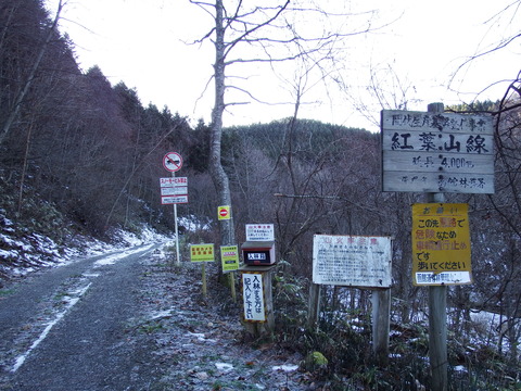 DSCF3571