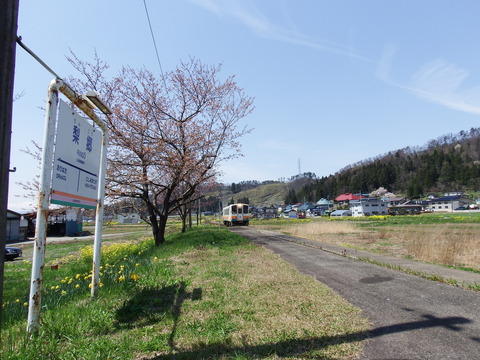 DSCF5196