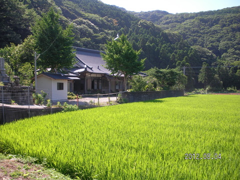 RIMG0561