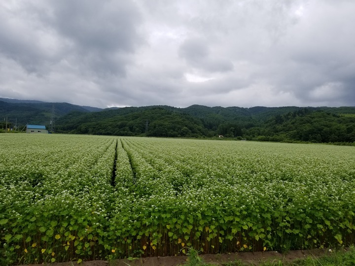 20190719_114140