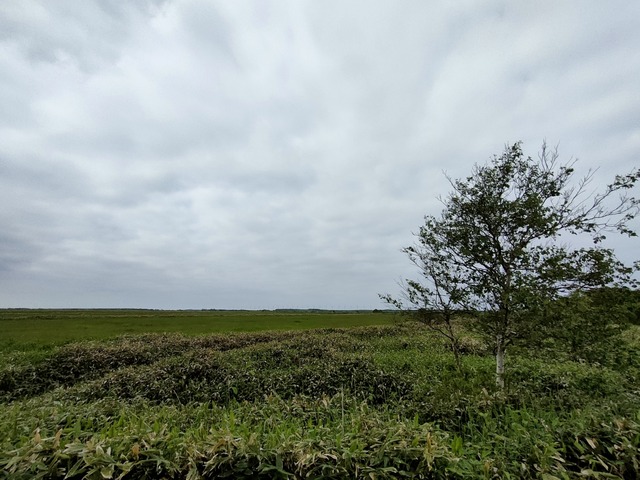 IMG20260613075526