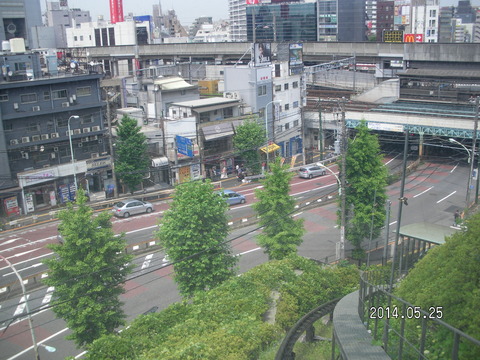 RIMG3887