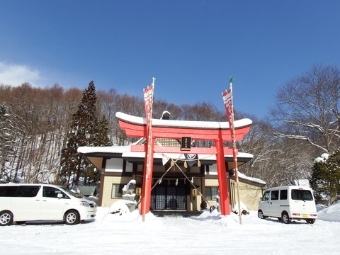 DSCF7681