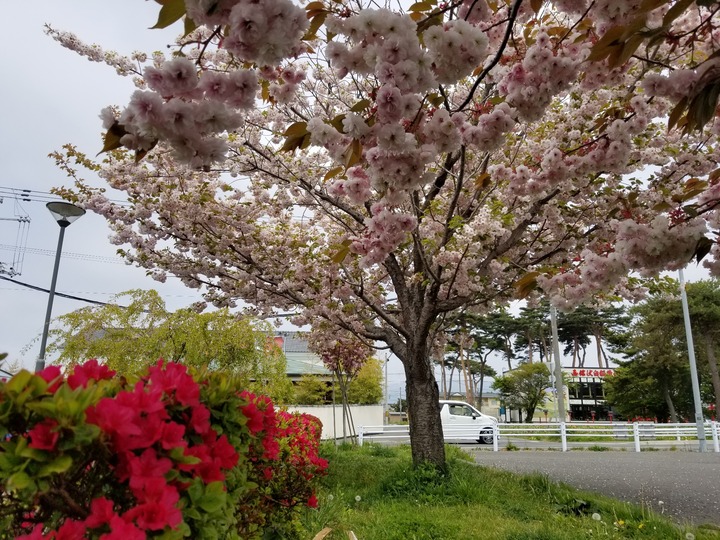 20190517_110832