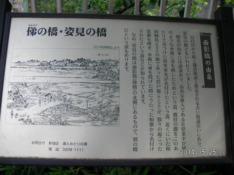 RIMG3828